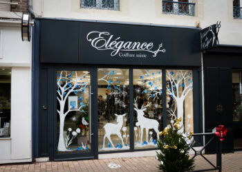 ELEGANCE COIFFURE