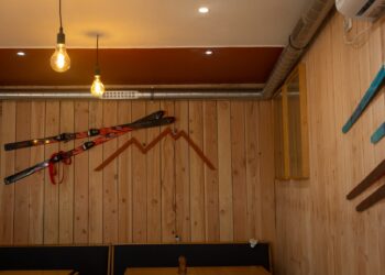 LE CHALET rue Saint Aignan à COSNE COURS SUR LOIRE