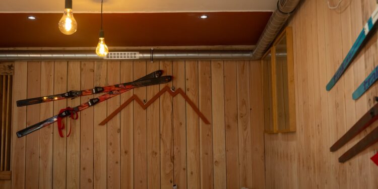 LE CHALET rue Saint Aignan à COSNE COURS SUR LOIRE