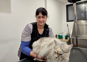 E&rsquo;Pile O&rsquo;Pooils