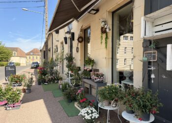 Fleurs Faber à Donzy
